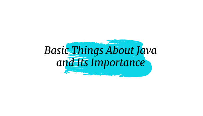 Basic Things About Java and Its Importance